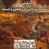 آهنگ سرگرمی تو شده بازی با این دل غمگین و خستم.....موزیک