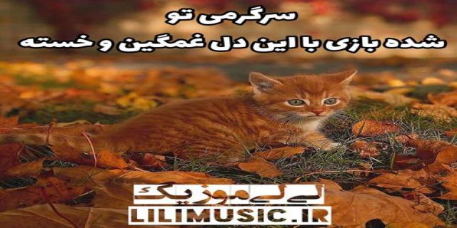  آهنگ سرگرمی تو شده بازی با این دل غمگین و خستم.....موزیک