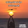  آهنگ مرغ دل ایرج