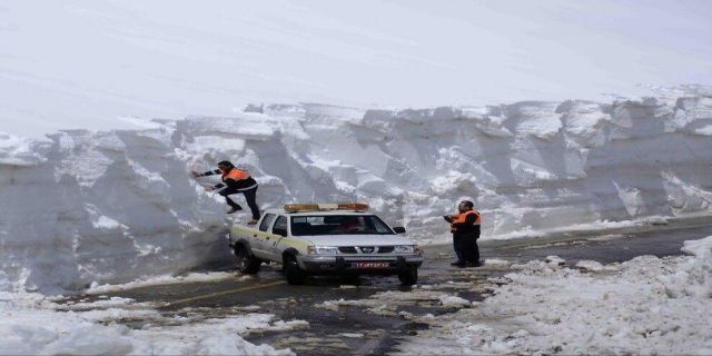 عکس/ گرگ‌ گرسنه در خیابان‌های خلخال