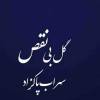  آهنگ جدید سهراب پاکزاد گل بی نقص +موزیک