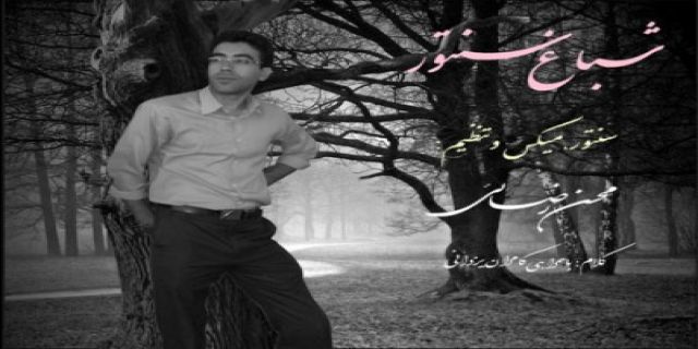 آهنگ جدید بی کلام محسن رضائی بنام شب، باغ، سنتور +موزیک
