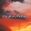  اهنگ بی تو نگرانم حال من چون پروانه تویی نور چشمم تویی تو دردانه