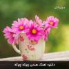 آهنگ جدید به نام «هندی چوکه چوکه»