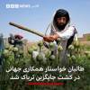 واردات تریاک از افغانستان به ایران؟! / نماینده مجلس: ما نیاز به تریاک داریم