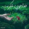 خدایای هزار مرتبه شکرت...............بارش گسترده برف و باران در کشور / هشدار کاهش ۱۵ درجه‌ای دما در ۲۳ استان / ارتفاع برف در محور‌های کوهستانی گیلان به ۳۰ سانت رسید / تهران هم برفی و بارانی می‌شود / تاکنون مدارس ۱۴ استان تعطیل شده‌اند 